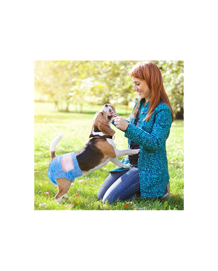 Pañales Pet Soft tipo Jean