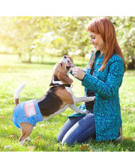 Pañales Pet Soft tipo Jean