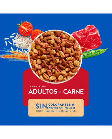 Cat Chow Gatos Adultos. Alimento para Gatos