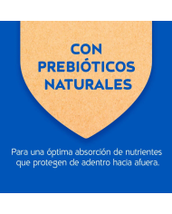 Cat Chow Gatos Adultos. Alimento para Gatos