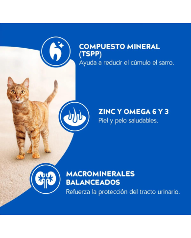 Mis croquetas de Carne humm! Cat Chow Gatos Adultos