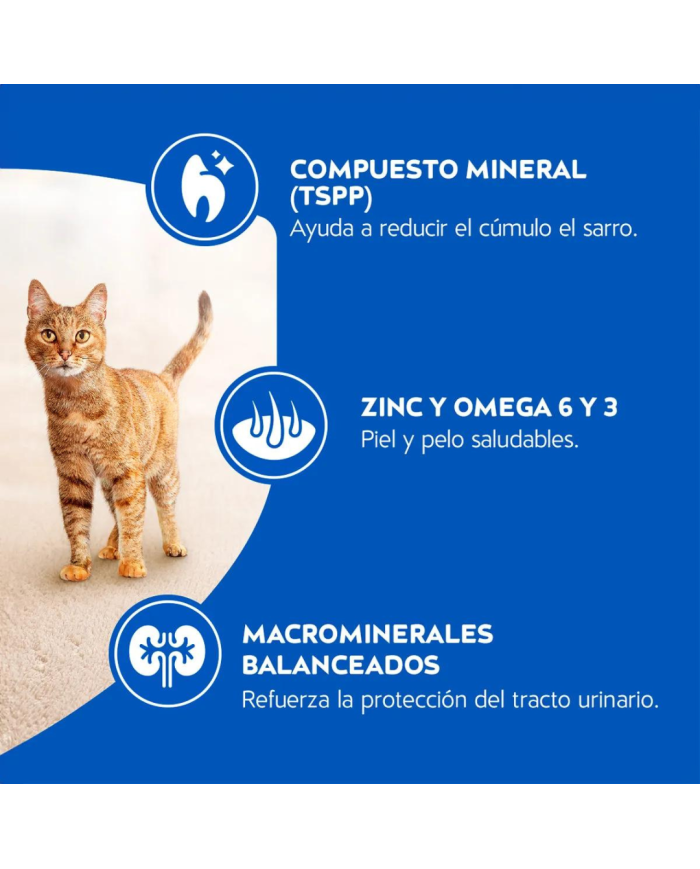 Cat Chow Gatos Adultos. Alimento para Gatos