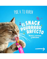 Snack para gatos Catchup