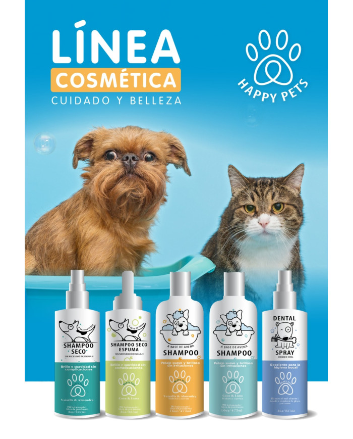 Mi dentadura es importante. Spray Dental