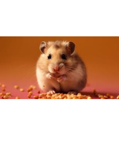 Alimento para hamster. Hamster Mix.