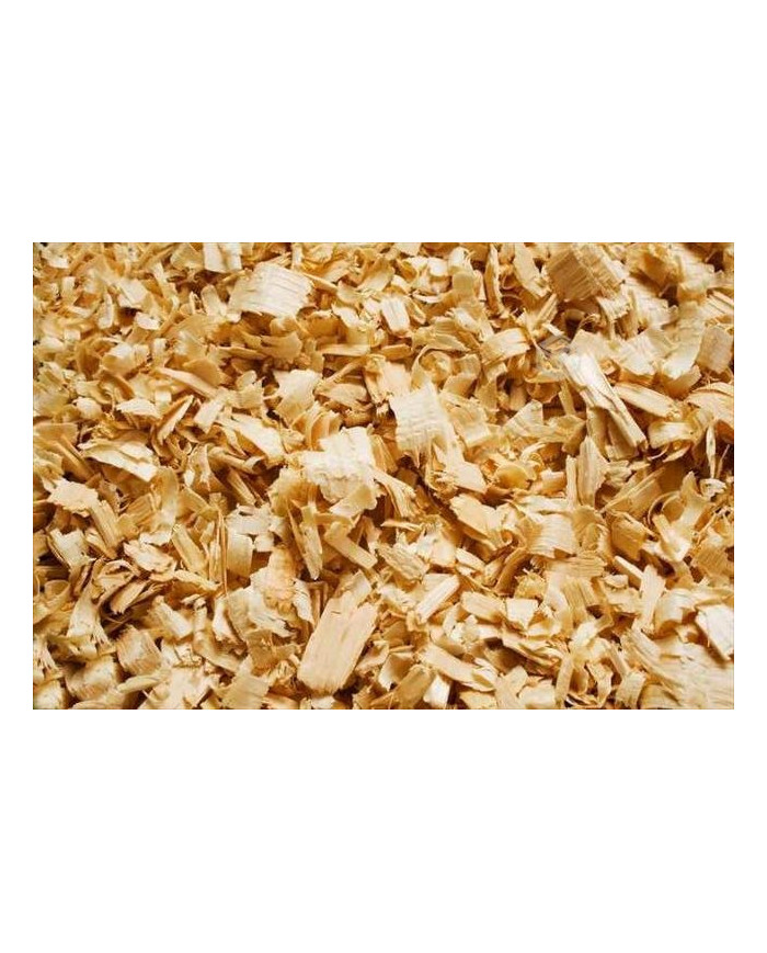 Viruta, mi sustrato esencial para mi habitat