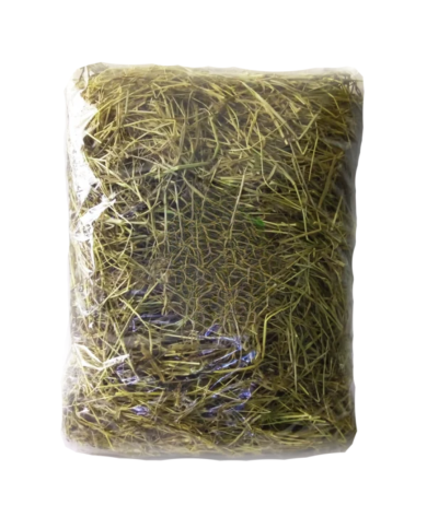 Heno de Alfalfa Deshidratada para Conejos