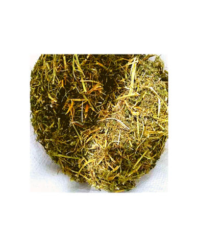 Heno de Alfalfa Deshidratada para Conejos