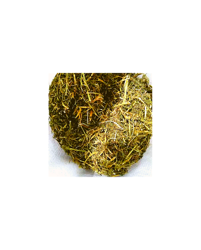 Heno de Alfalfa Deshidratada para Conejos