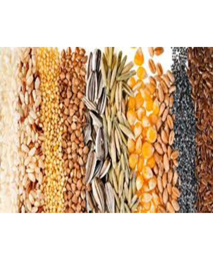 Multisemillas para aves ornamentales.