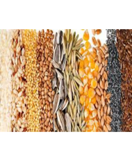 Multisemillas para aves ornamentales.