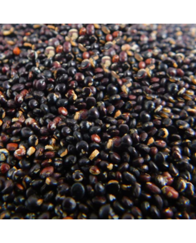 Semillas de nabo, alimento para aves