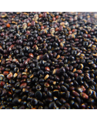 Semillas de nabo, alimento para aves