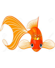 Alimento para Peces en Bolitas