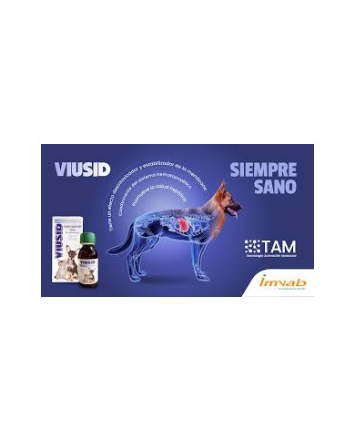 Viusid Pets