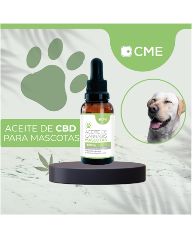 CBD para mascotas. Aceite de Cannabis