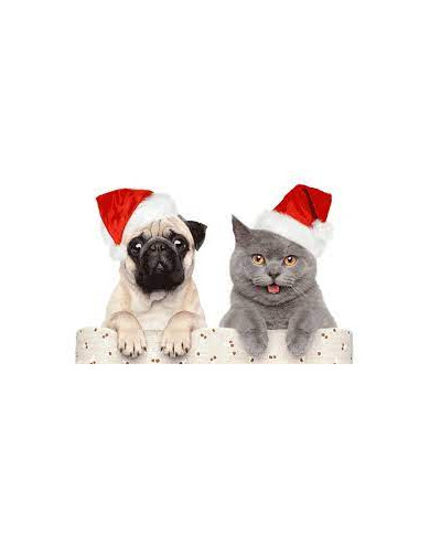 Jersey Navidad Rodolfo, talla S