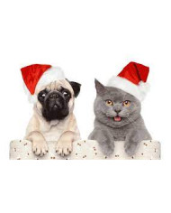 Jersey Navidad Rodolfo, talla S