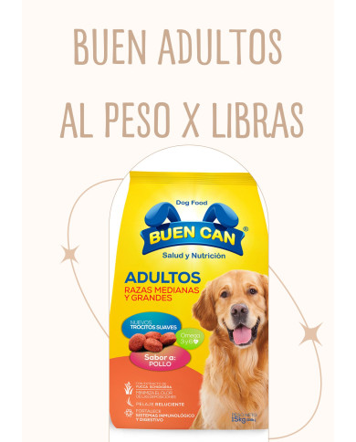 Buen can para perros adultos, por libras