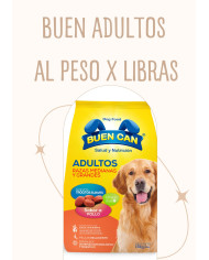 Buen can para perros adultos, por libras