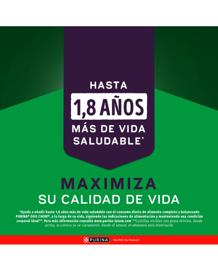 Dog Chow Triple Proteína Extra Life Alimento para Perros todas las razas