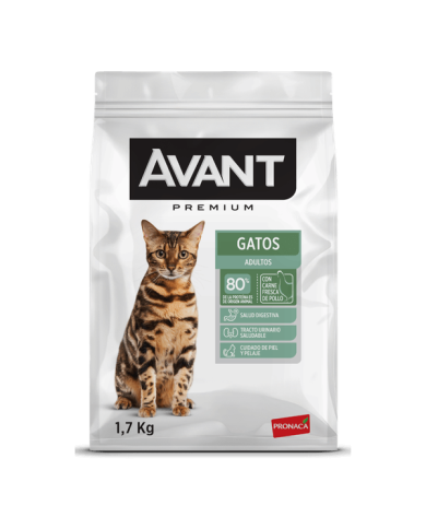 Alimento premium para gatos Avant gatos adultos