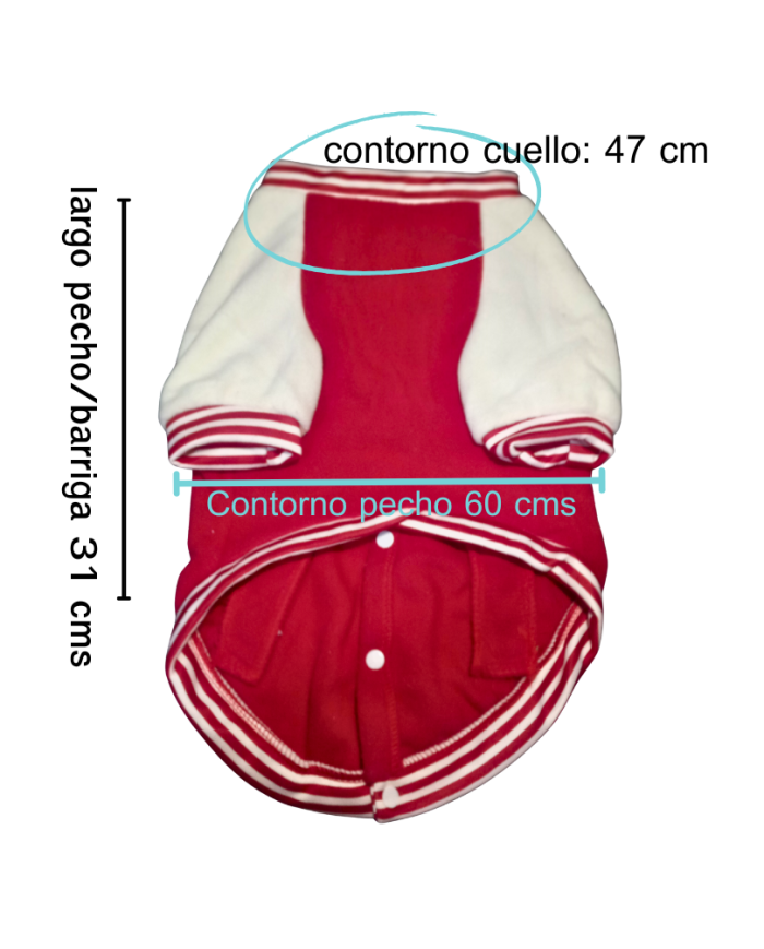 Ropa para mascotas, Jersey Beisbolera Bear