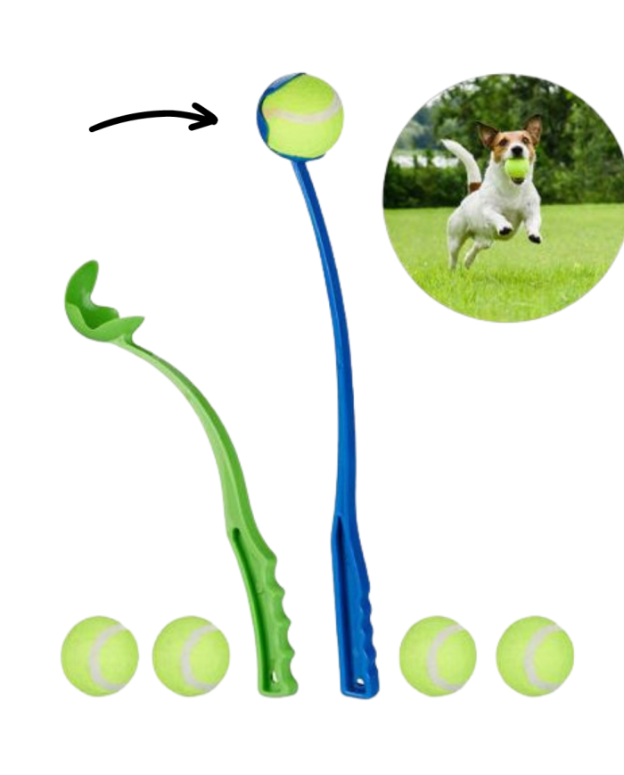 Juguete para perros. Lanzador de pelotas