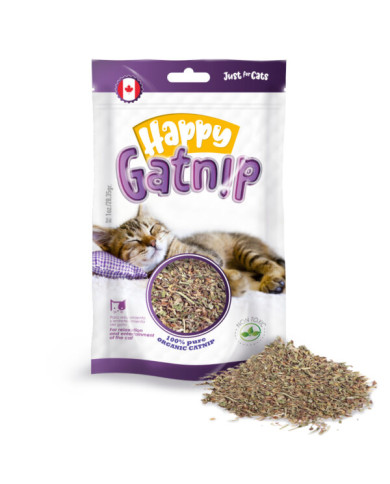 Hierba gatera Happy Gatnip