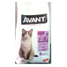 Avant gatos esterilizados