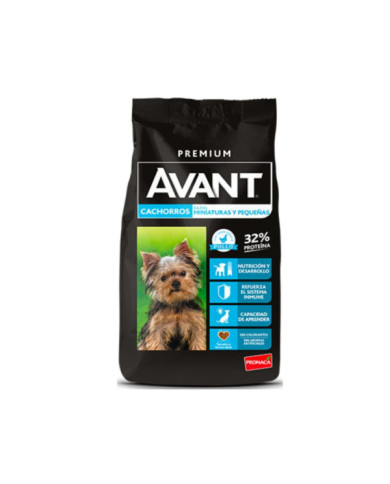 Avant cachorros de razas pequeñas