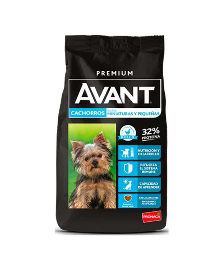 Avant cachorros de razas pequeñas