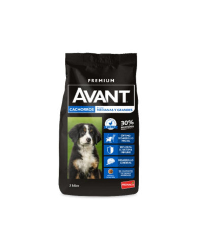 Avant Alimento premium para...
