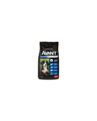 Avant Alimento premium para cachorros razas razas medianas a grandes