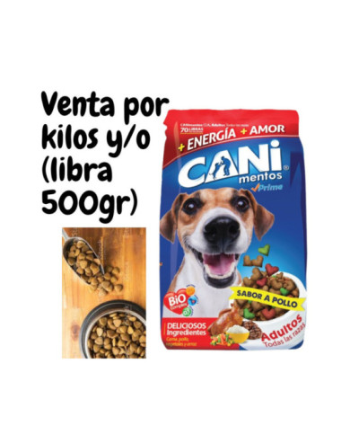 Cani Prime perros adultos