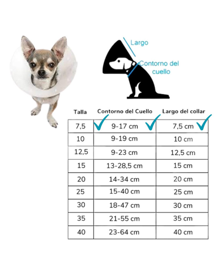 Collar Isabelino de protección
