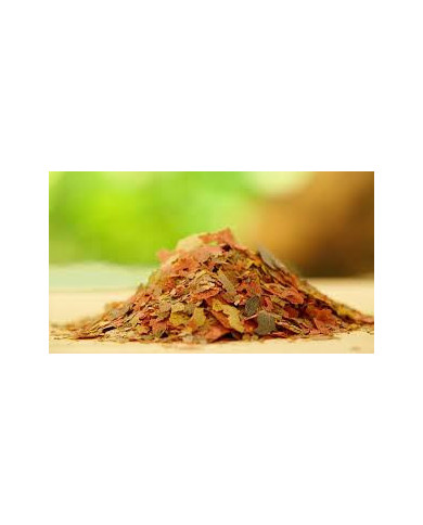 Alimento para Peces en Hojuelas. Preferimos el alimento en hojuelas