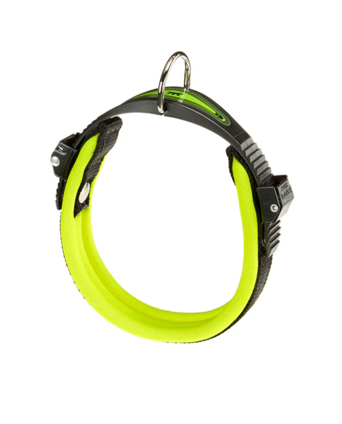 Collar Calidad Premium